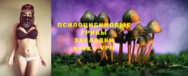 СК Арсеньев